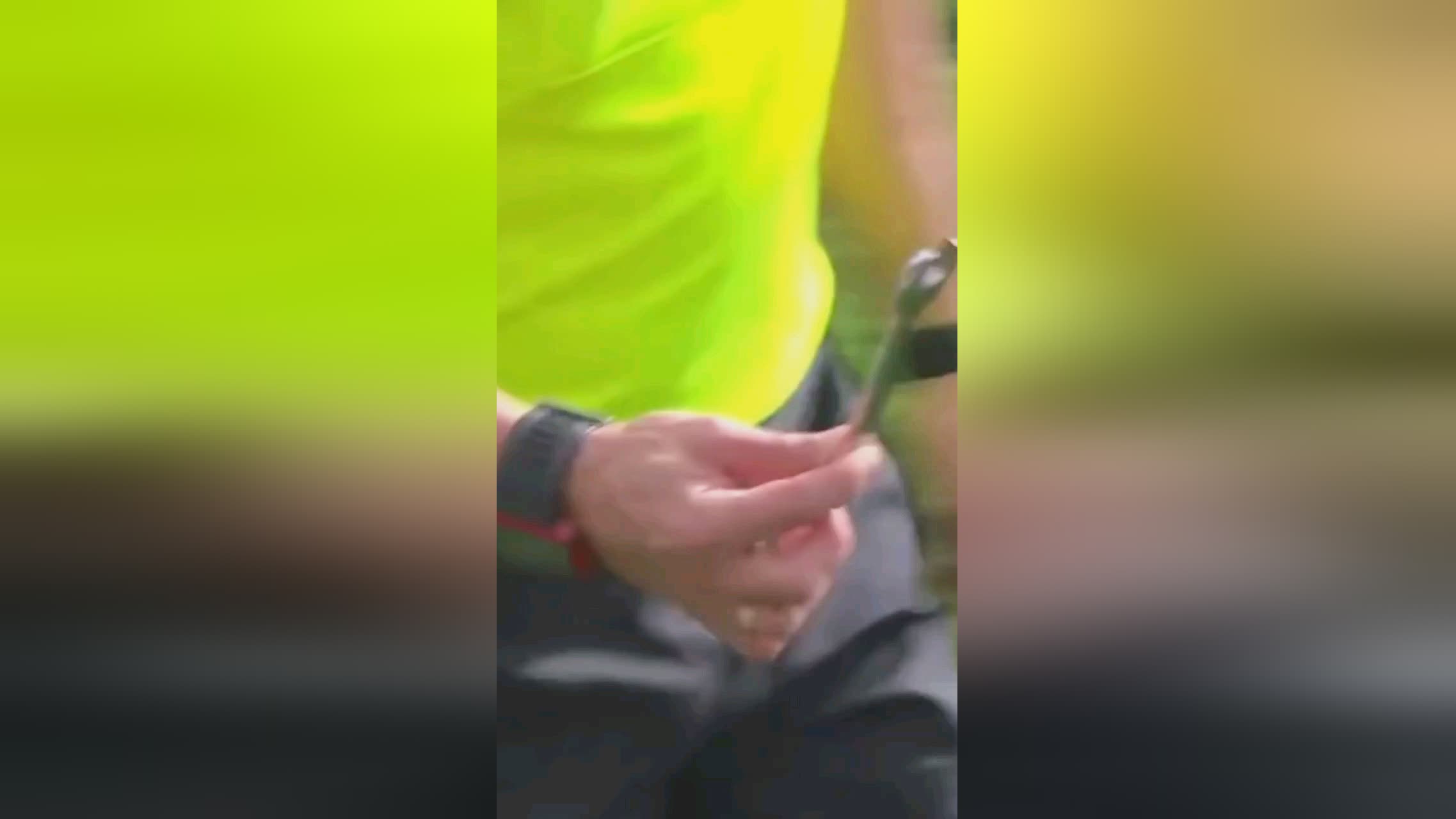 献而被球迷